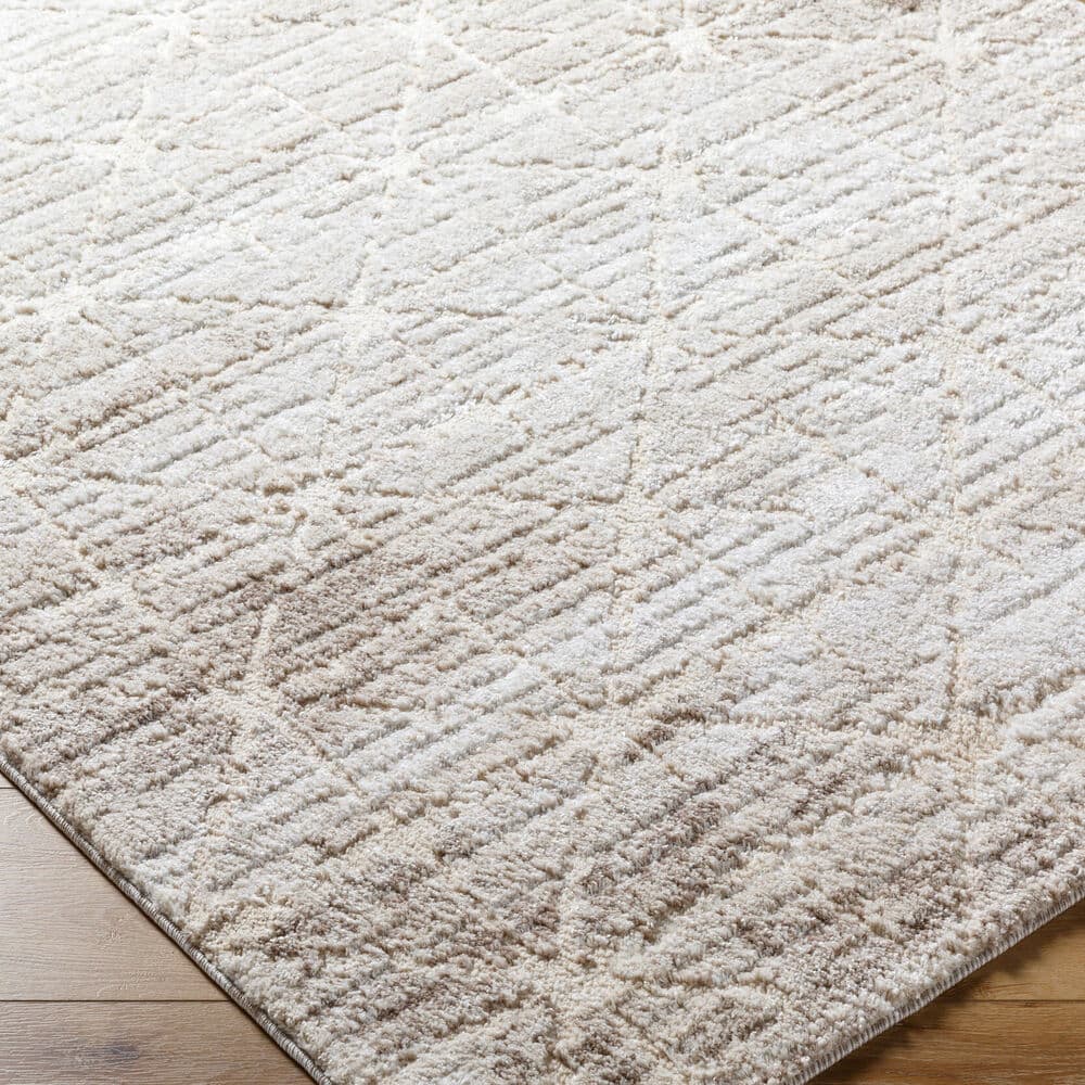 Andorra Plus Light Brown Machine Woven Rug by Livabliss - Image 2
