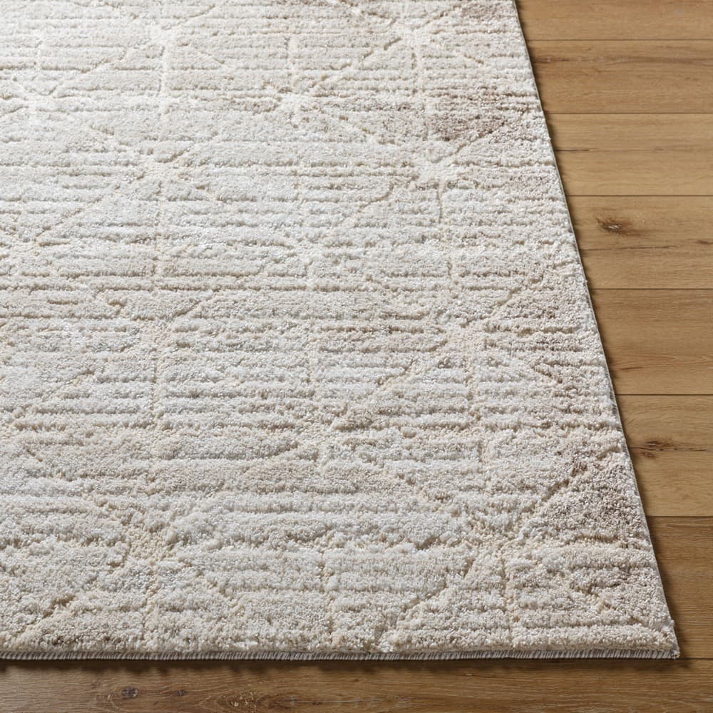 Andorra Plus Light Brown Machine Woven Rug by Livabliss - Image 3