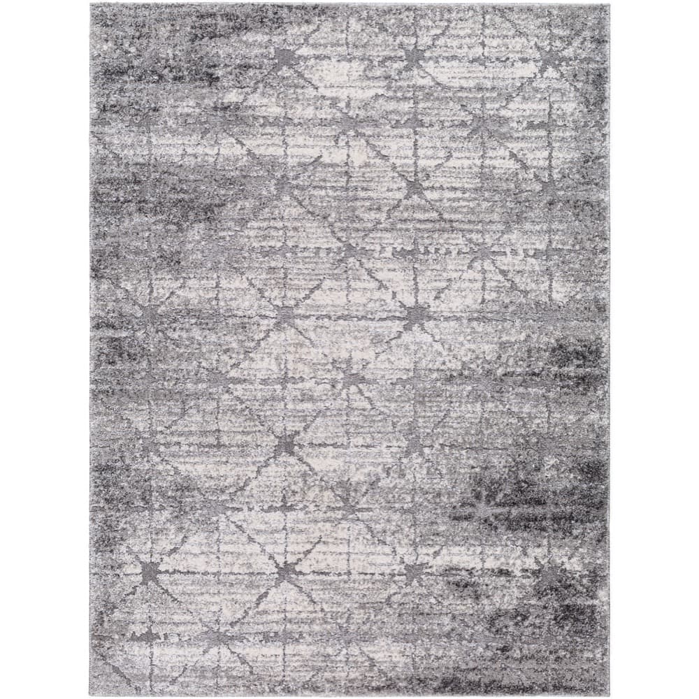 Andorra Plus Black Machine Woven Rug by Livabliss