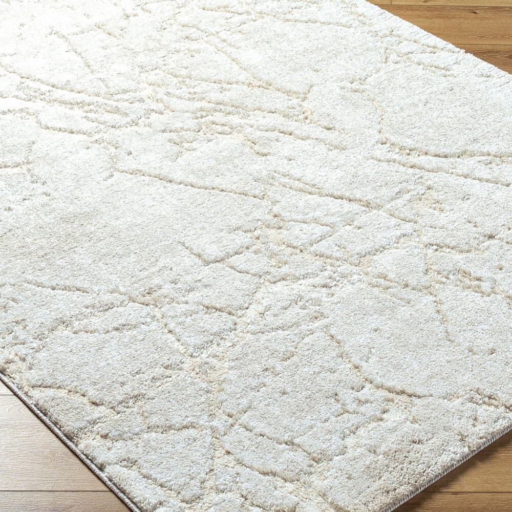 Andorra Plus Light Gray Machine Woven Rug by Livabliss - Image 3