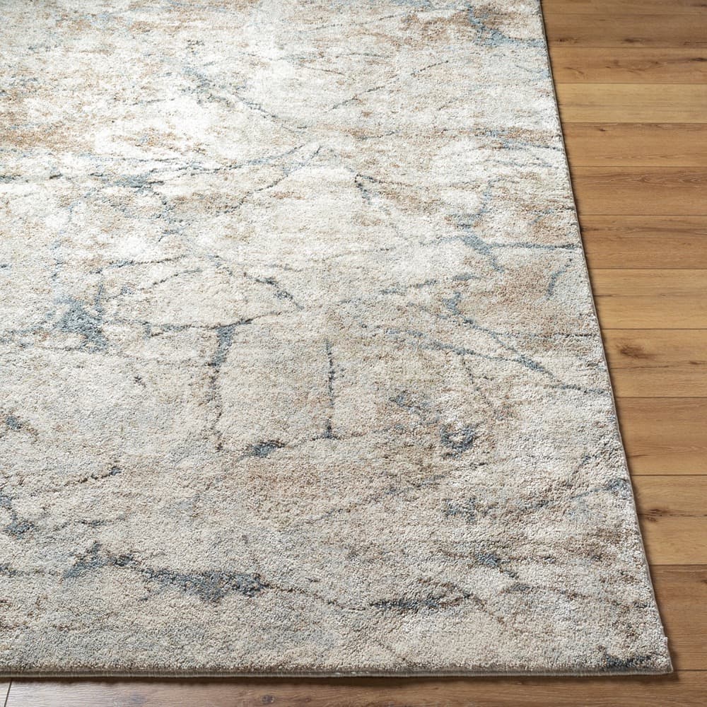 Avellino Light Beige Machine Woven Rug by Livabliss - Image 4