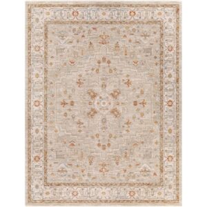 Avant Garde Brown Machine Woven Rug by Livabliss
