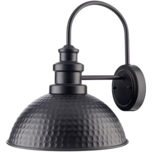 Elfand Iron Wall Sconce by Livabliss