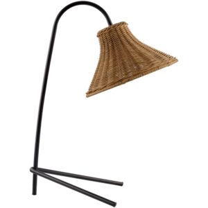 Jarod Black Iron Table Lamp by Livabliss