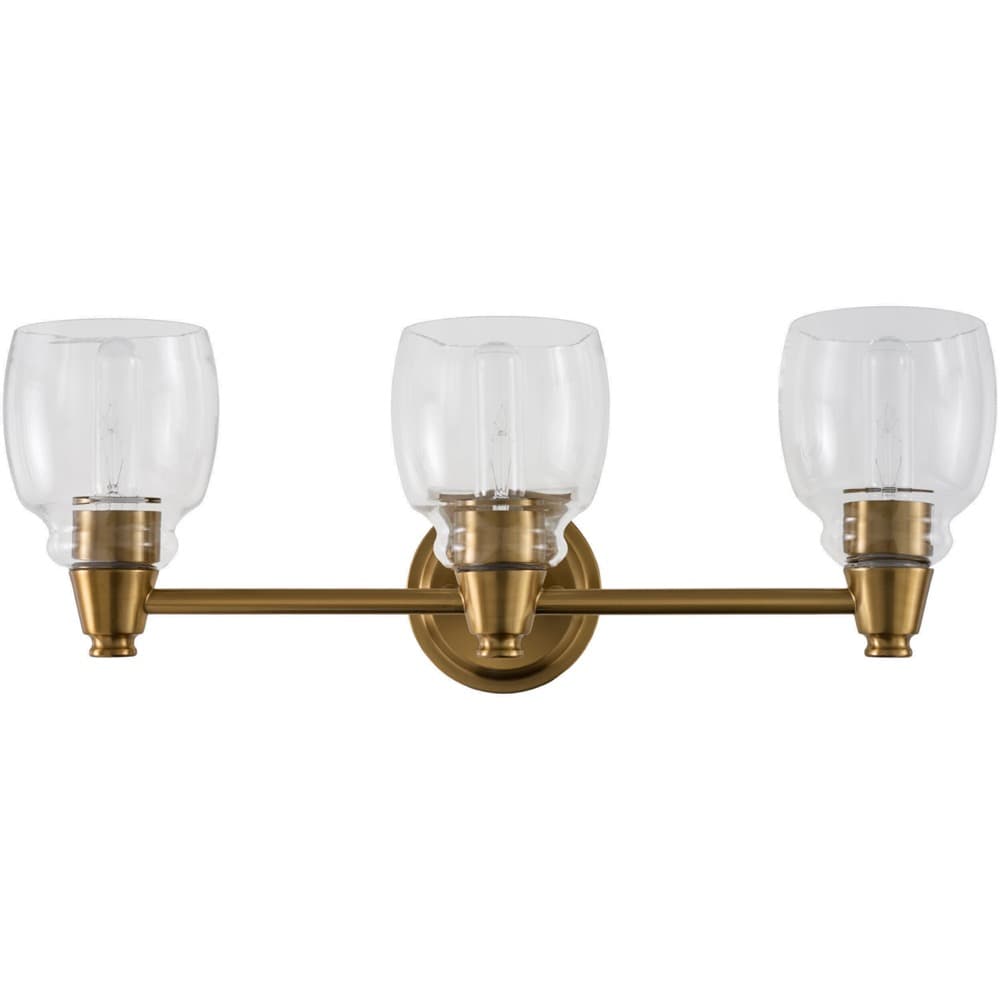 Levene Gold Iron Wall Sconce by Livabliss