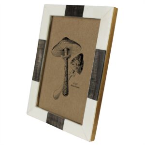 Bone and Chagrin Horn 5 x 7 Frame by HomArt