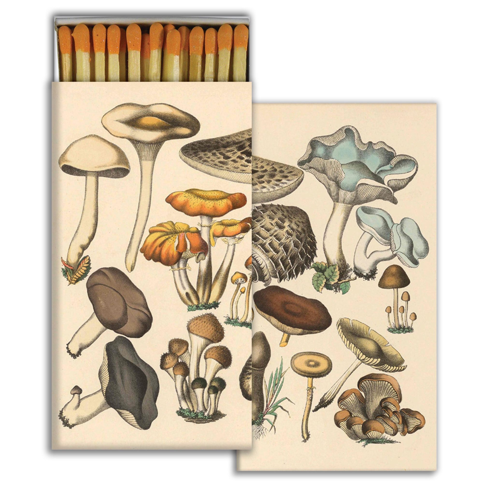 Foraged Mushrooms Matches Set of 6 by HomArt