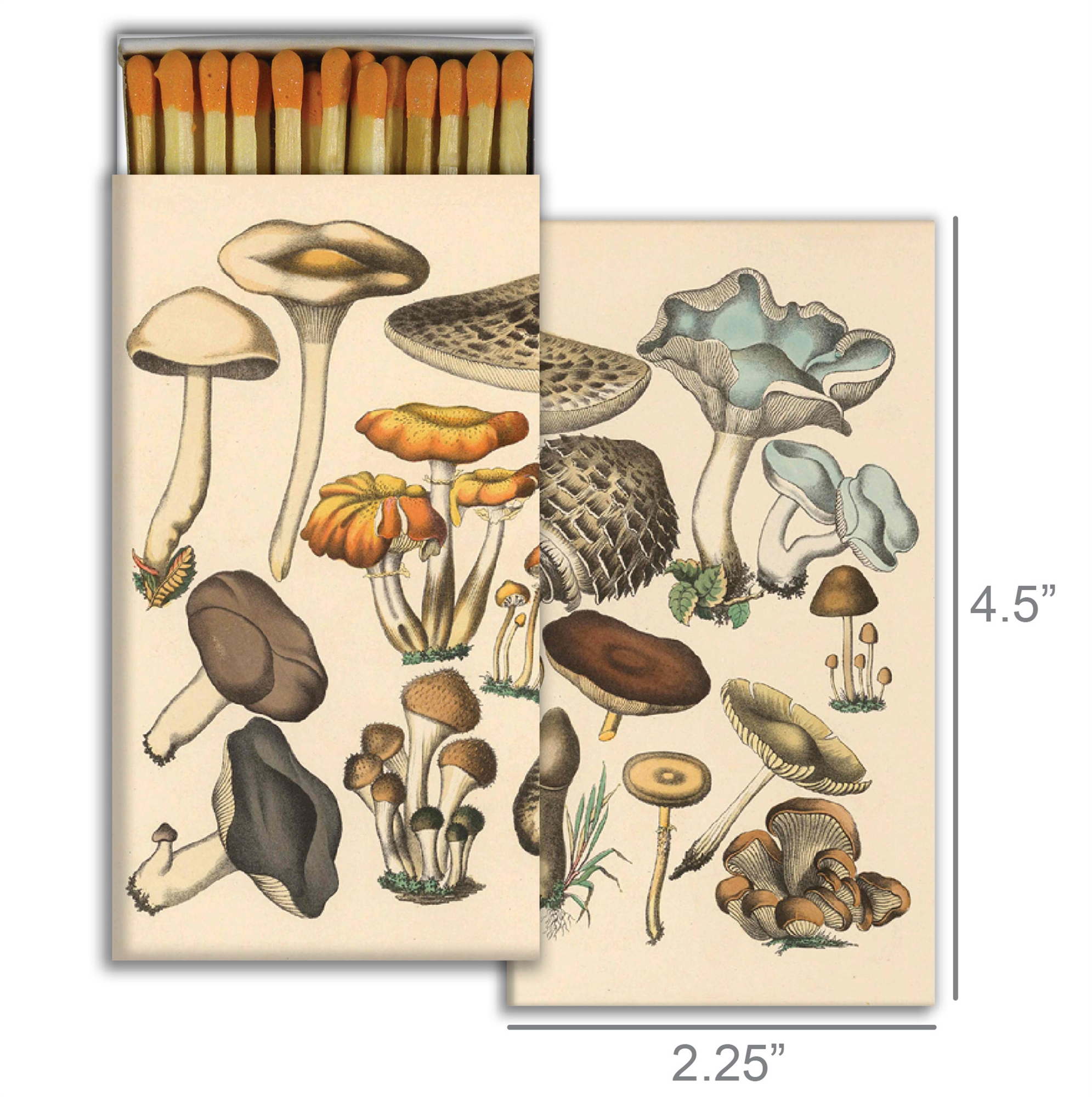Foraged Mushrooms Matches Set of 6 by HomArt - Image 2