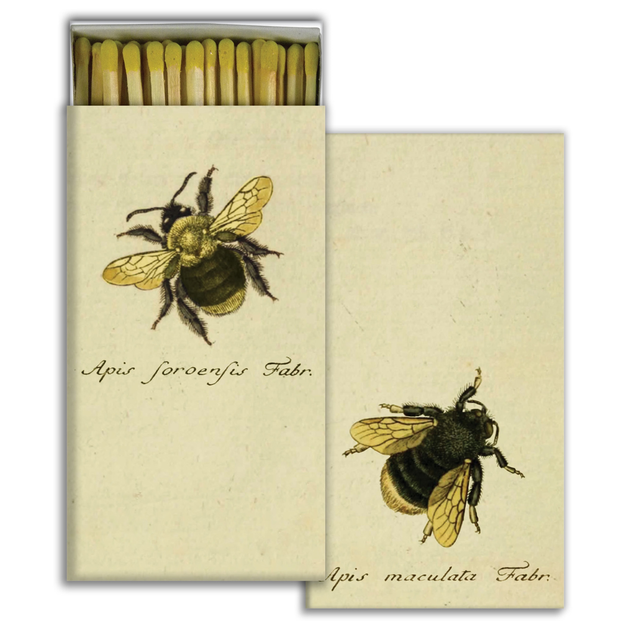 Bumble Bees Matches Set of 6 by HomArt