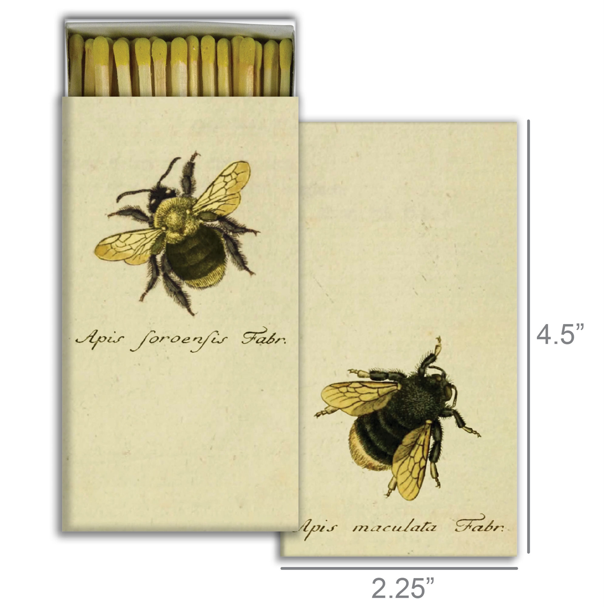 Bumble Bees Matches Set of 6 by HomArt - Image 2