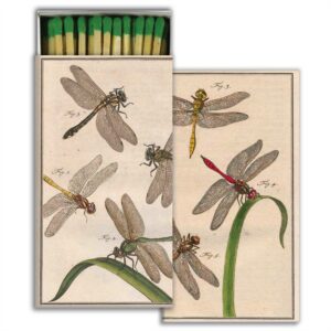 Dancing Dragonflies Matches Set of 6 by HomArt