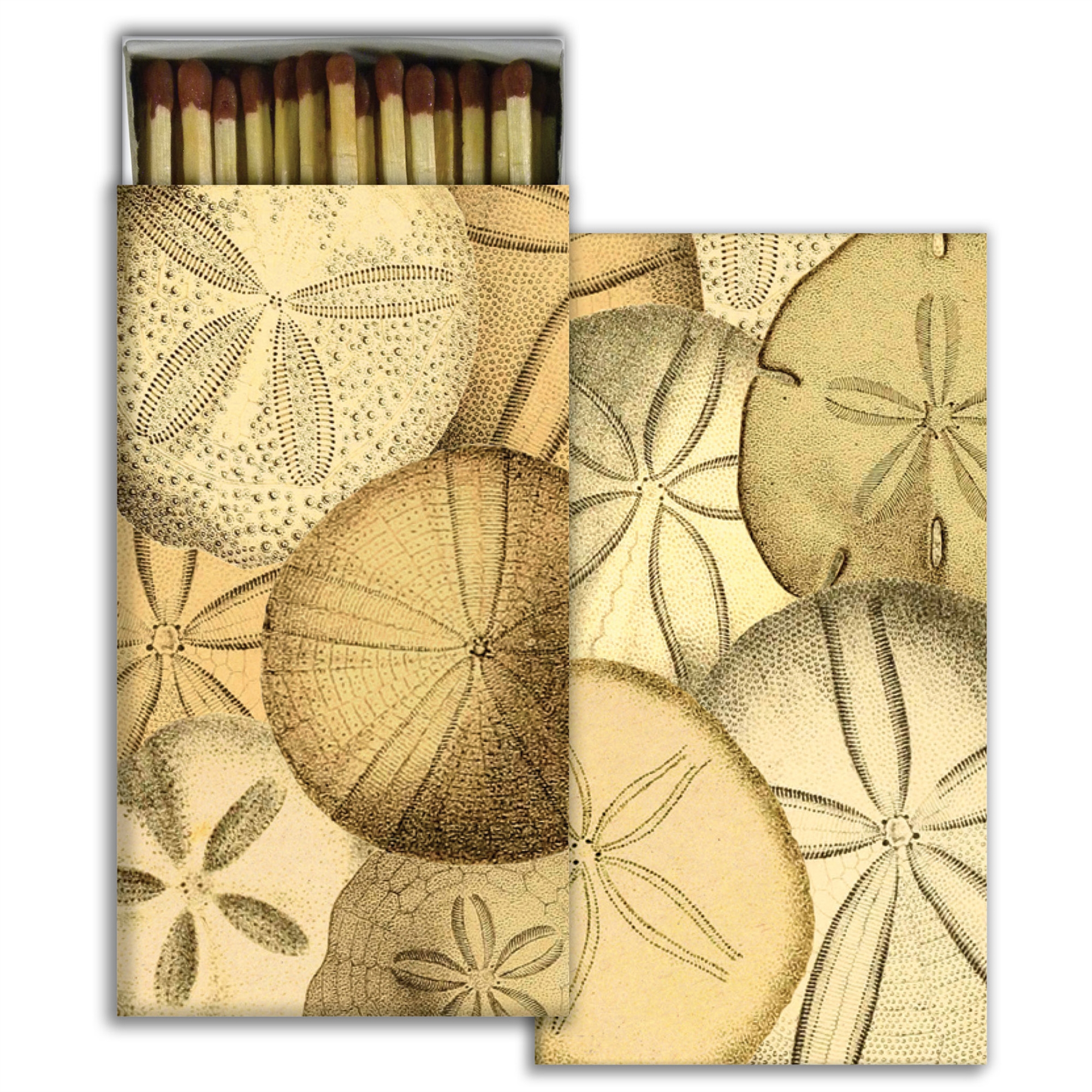 Sand Dollars Matches Set of 6 by HomArt