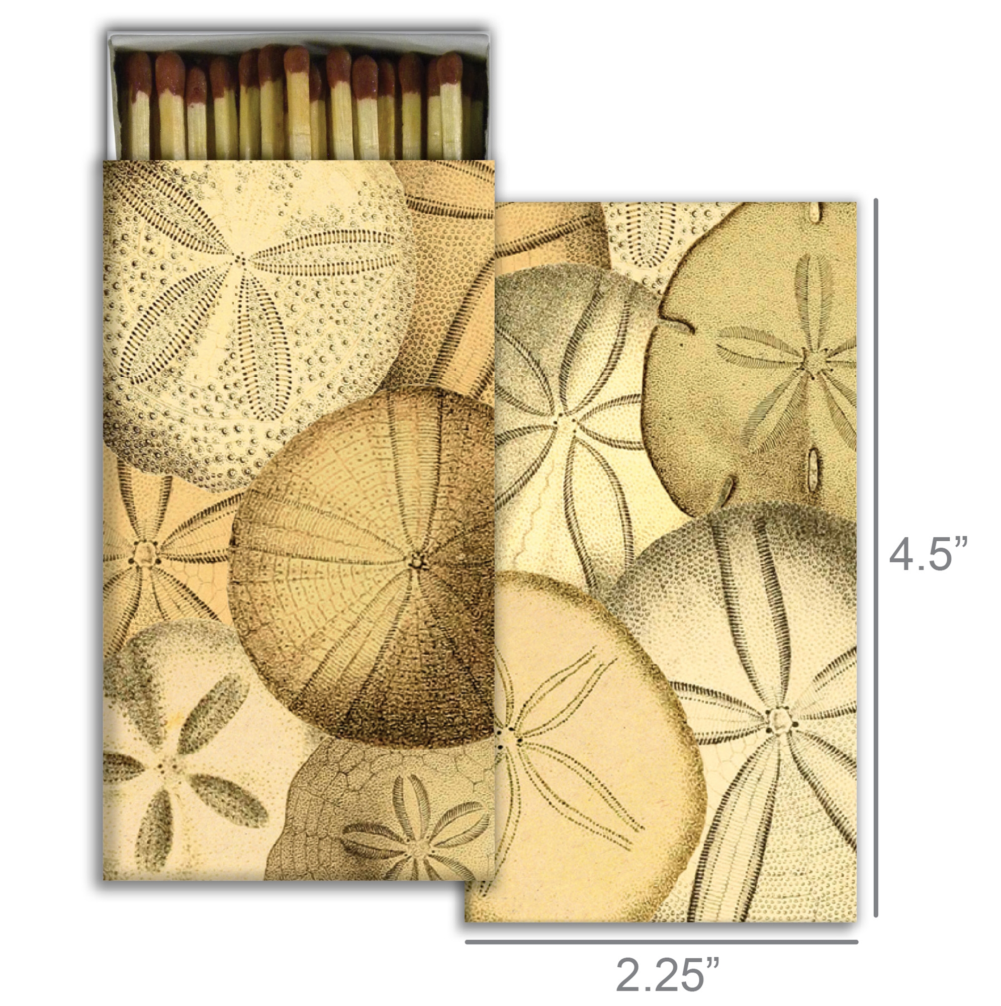 Sand Dollars Matches Set of 6 by HomArt - Image 2