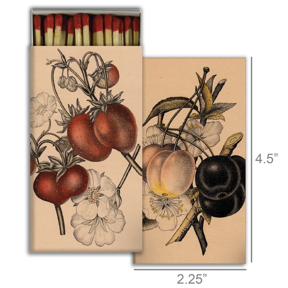 Ripe Fruit Matches Set of 6 by HomArt - Image 2