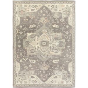 Caesar Taupe Handmade Rug by Livabliss