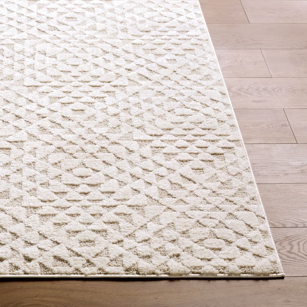 The Studio Edit Cream Machine Woven Rug by Rachel Zoe for Livabliss - Image 3