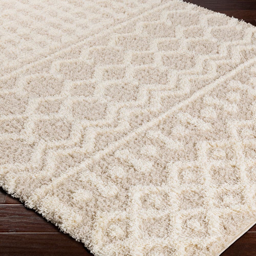 Urban Shag Beige Machine Woven Rug by Livabliss - Image 3