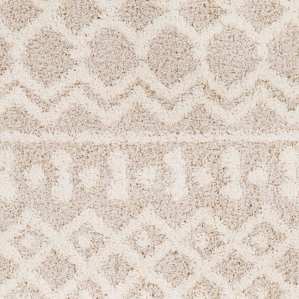 Urban Shag Beige Machine Woven Rug by Livabliss - Image 4