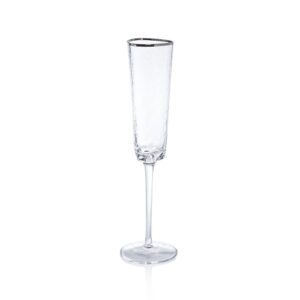 Aperitivo Triangular Champagne Flutes, Clear with Platinum Rim Set of 4 by Zodax