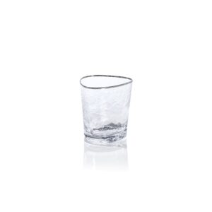 Aperitivo Triangular DOF Glasses, Clear with Platinum Rim Set of 4 by Zodax