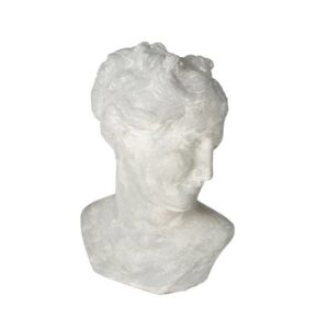Gray Pompeii Venus Bust by Abigails