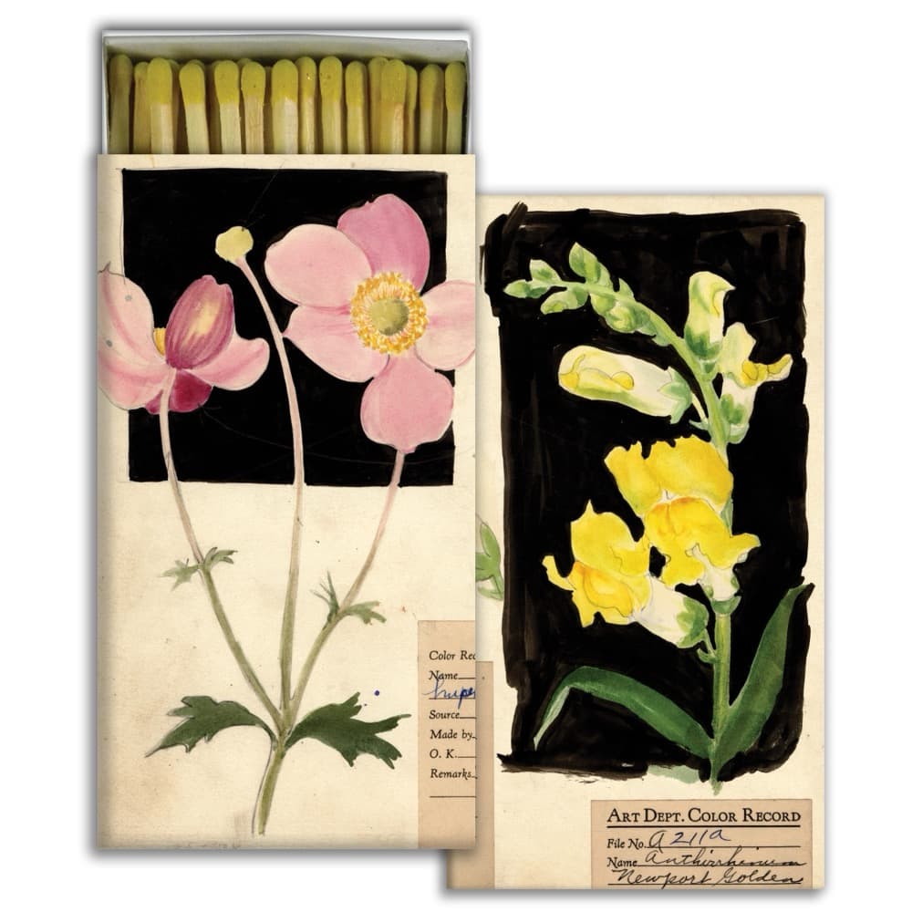 Anenomie and Snapdragon Matches Set of 6 Boxes by HomArt