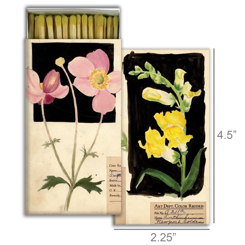 Anenomie and Snapdragon Matches Set of 6 Boxes by HomArt - Image 2